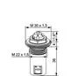 Thermostat-Oberteil von IMI Hydronic Engineering, mit mehreren Gewindeanschlüssen. Detaillierte technische Zeichnung, die Maße und Form zeigt.